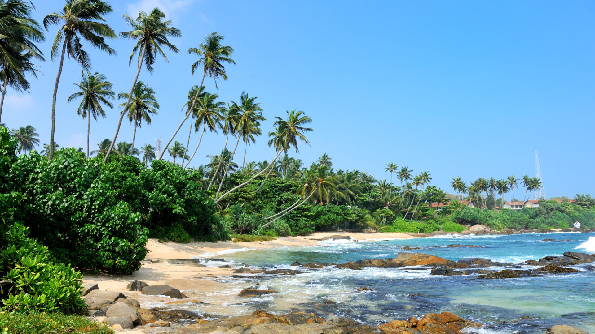 Experience Goa Like a Local: A Guide to Authentic Goan Culture, Cuisine & Lifestyle