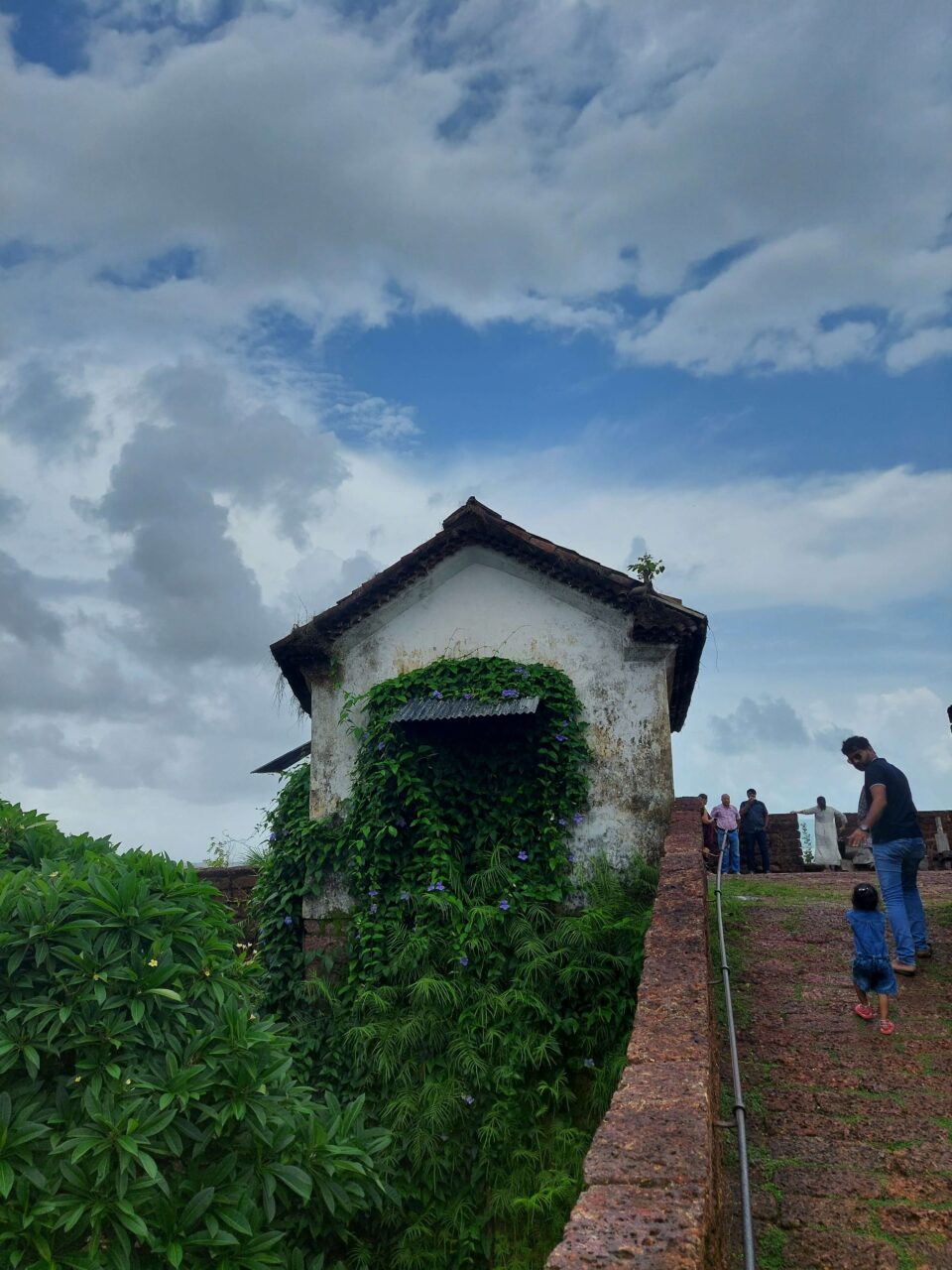 Monsoon Magic in Goa: A 4-Day Itinerary to Experience the Best of the Rainy Season